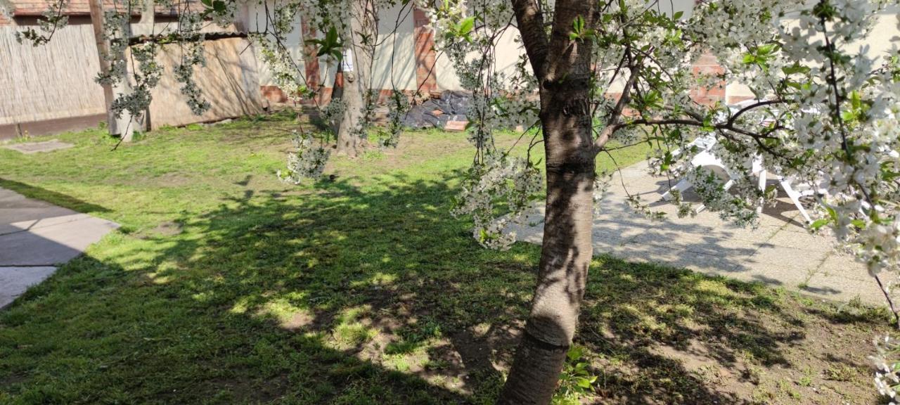 Orsi Apartman / vendegház Kecskemét Buitenkant foto