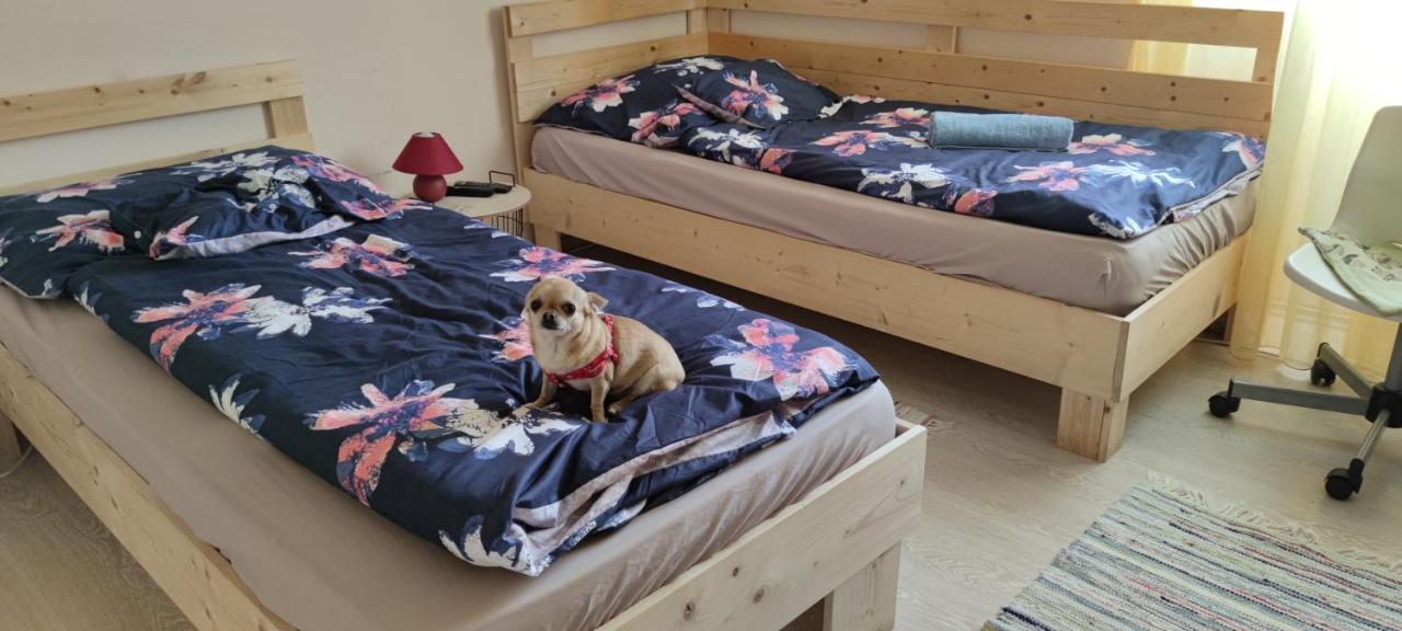 Orsi Apartman / vendegház Kecskemét Buitenkant foto